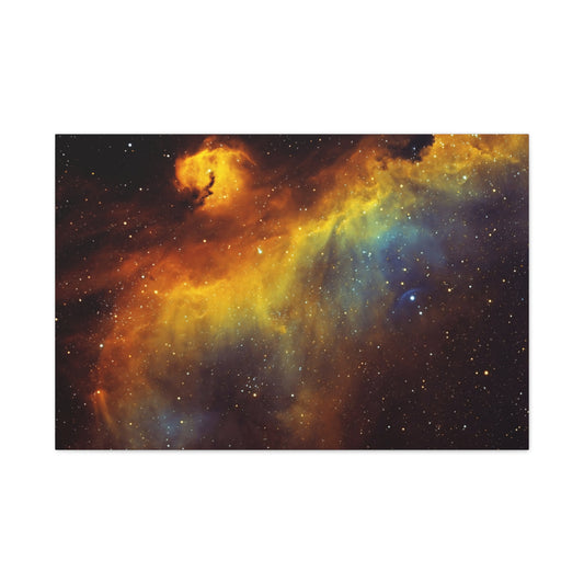 IC2177 - The Seagull Nebula on Canvas