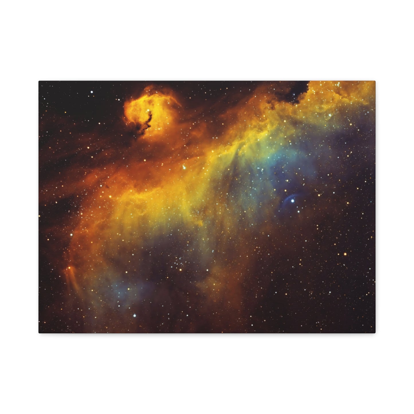 IC2177 - The Seagull Nebula on Canvas